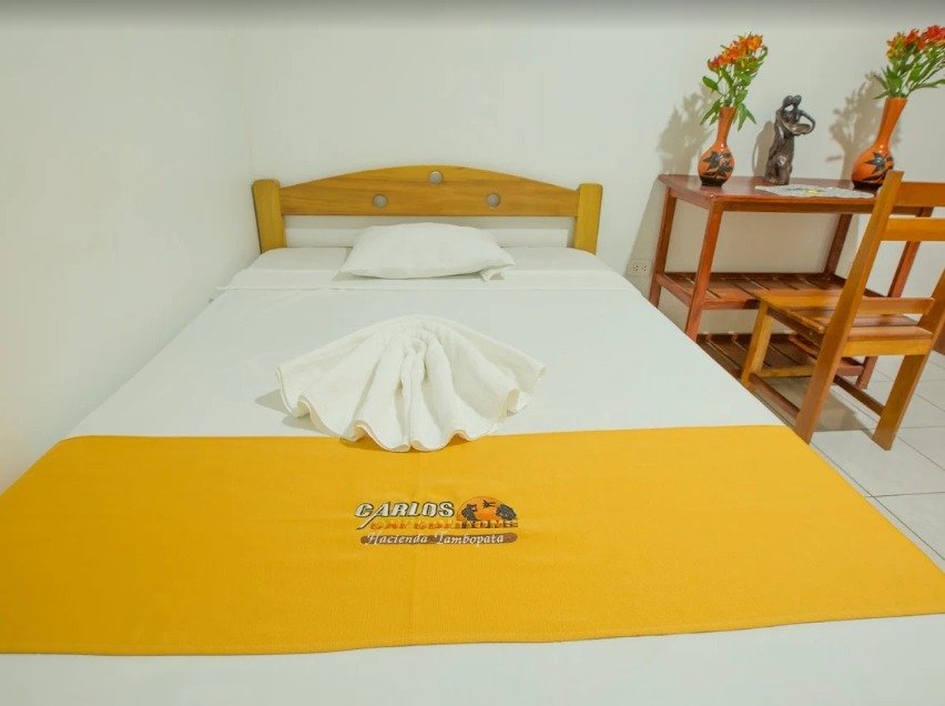 Habitación Simple Hotel Boulevard Tambopata